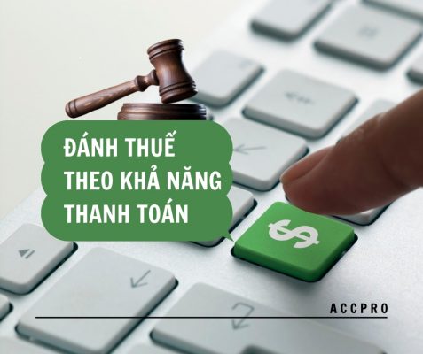 đánh thuế theo khả năng thanh toán