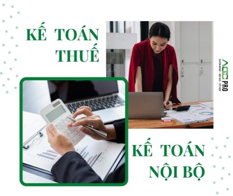 doanh nghiệp mới thành lập