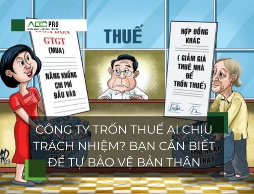 CÔNG TY TRỐN THUẾ AI CHỊU TRÁCH NHIỆM_ BẠN CẦN BIẾT ĐỂ TỰ BẢO VỆ BẢN THÂN