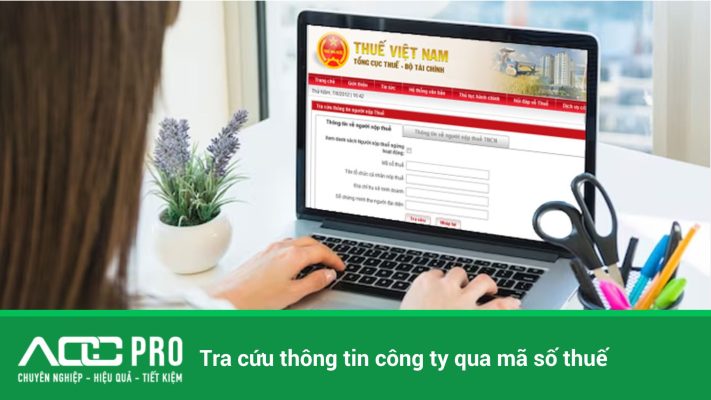 sử dụng kết quả tra cứu thông tin công ty qua mã số thuế